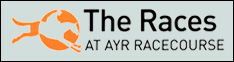 The Races at Ayr Racecourse